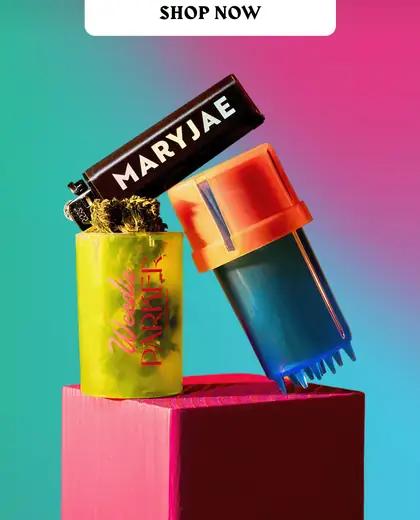 Colorful MaryJae email with product bottles, first-order offer, values, product categories, and use diagram.