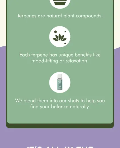 Pastel Happiest Hour email explaining terpene shots, timing, product flavors, and attributes.